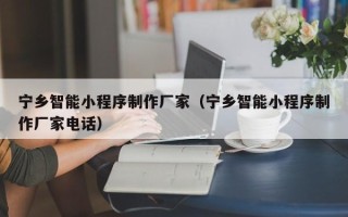 晋中宁乡智能小程序制作厂家（宁乡智能小程序制作厂家电话）